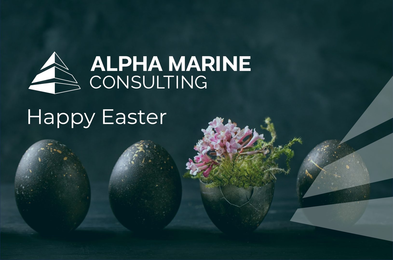 Sailing into Easter with Gratitude and Renewal !